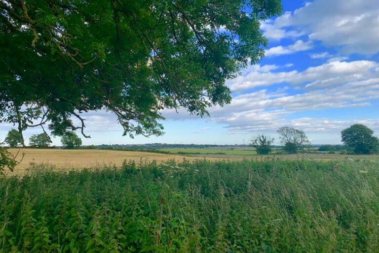 Object to Dewley Hill. Update: Campaign won!
