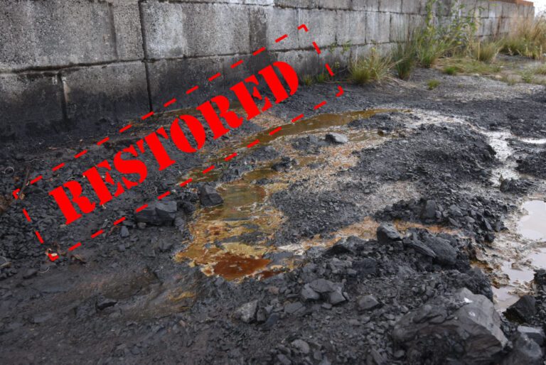 Webinar on restoration in South Wales