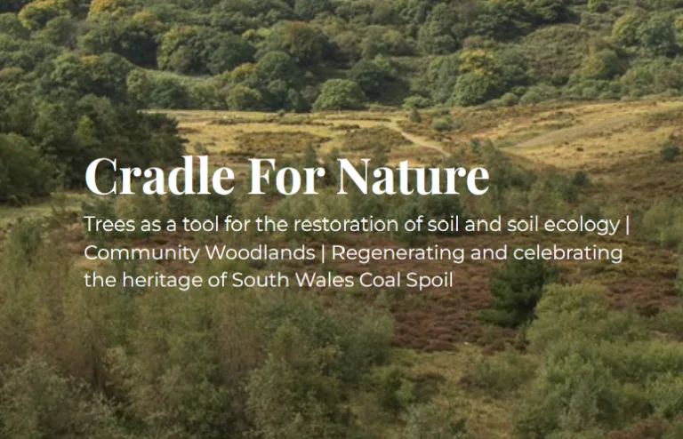 Coal2Canopy Varteg case study